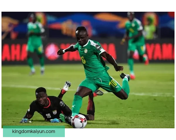 马里国家队在国际赛事中的表现稳健，备受关注